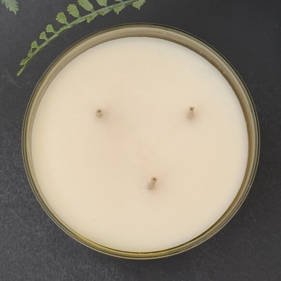 BBW Pineapple Mango White Barn Bath & Body Works 3 Wick Candle - Picture 7 of 10